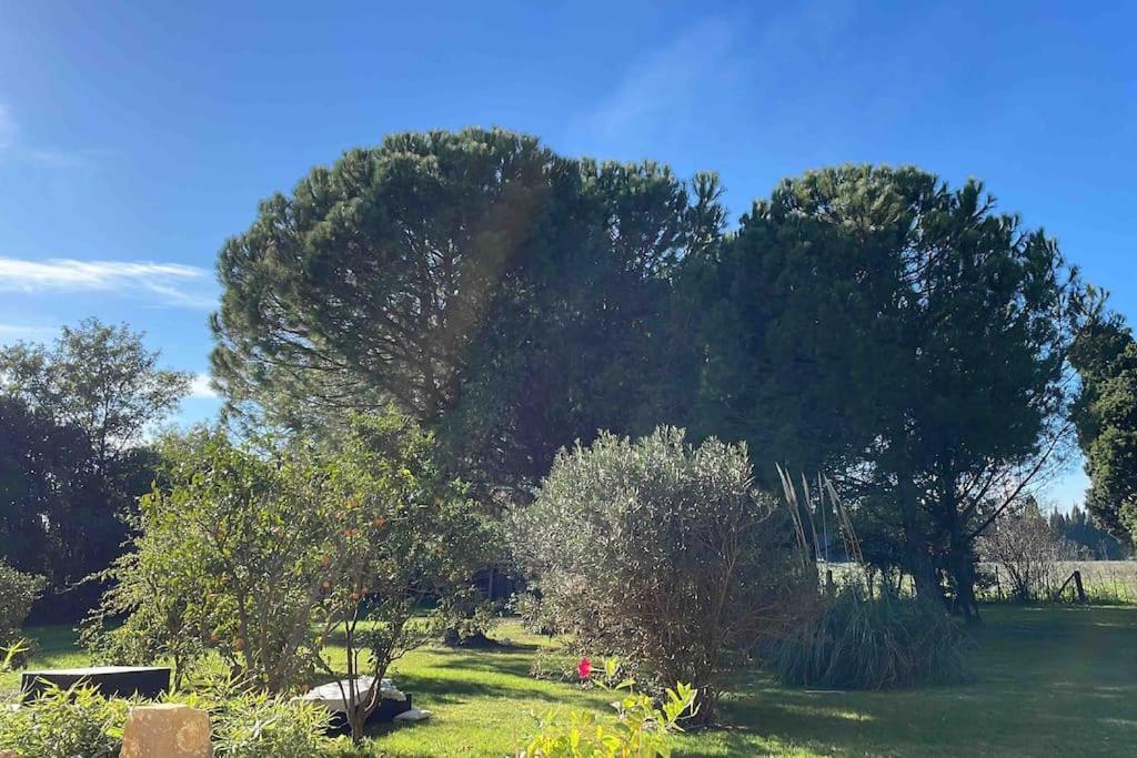 Gite Mas Provencal Тараскон Экстерьер фото